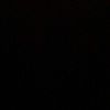 allison_1235567